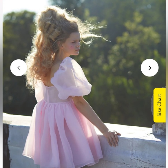 Selkie The Angel Delight Puff Dress in Pink 14 NWT💖 - Picture 3 of 14